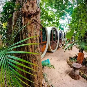 Tubo Hostel Tulum